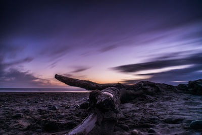 Driftwood on beach against sky during sunset