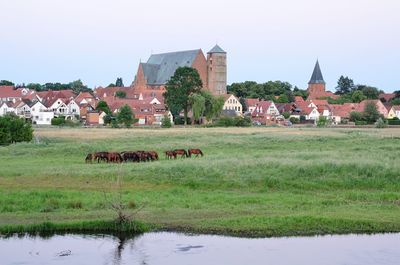 Scenic view of field by buildings against sky