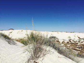 Scenic view of landscape against clear blue sky