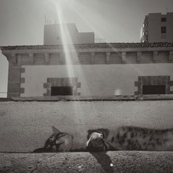 Woman standing in city