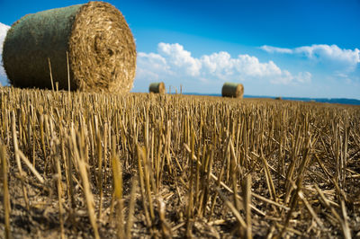 Scenic view of grass rolls against cloudy sky