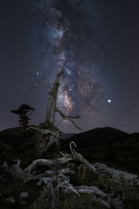 Scenic view of mountain landscape with milky way and trees