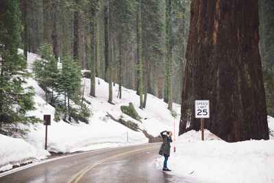 Woman standing on road against trees during winter