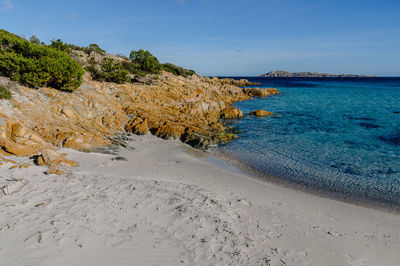 Scenic view of beach against blue sky