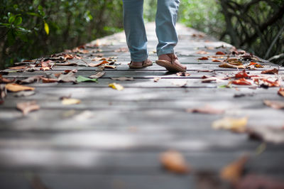 Low section of man walking on autumn leaves covered boardwalk