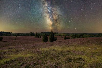 Scenic view of field against sky at night