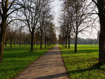 Footpath amidst bare trees in park