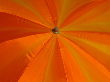 Full frame shot of orange umbrella