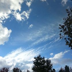 Low angle view of trees against cloudy sky