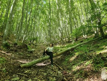 Man standing by tree in forest