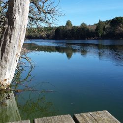 Reflection of trees in lake