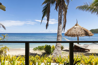 Palm trees on beach against clear sky