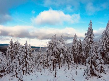 Snow covered landscape against sky