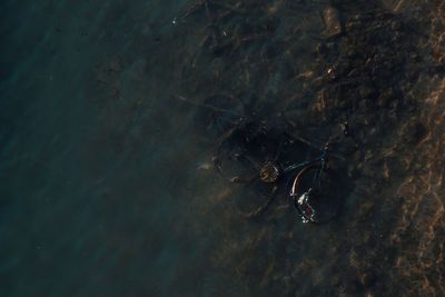 High angle view of abandoned bicycle in sea