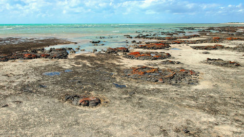 Scenic view of beach against sky