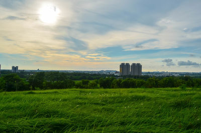 Scenic view of field against sky during sunset