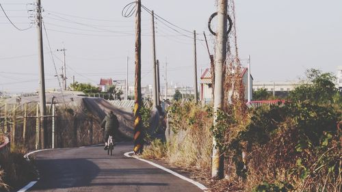 Road along trees in city