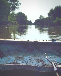 Reflection of trees in water