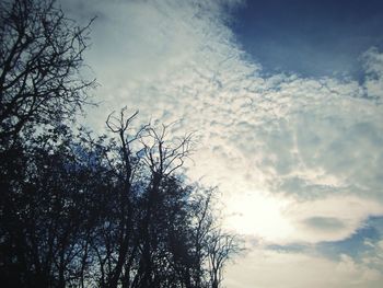 Low angle view of silhouette tree against sky