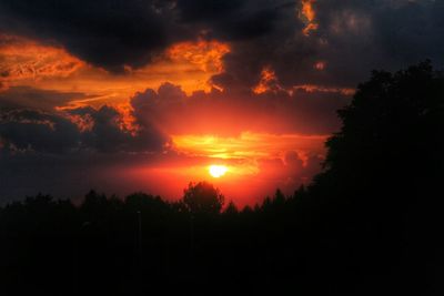 Silhouette of trees at sunset