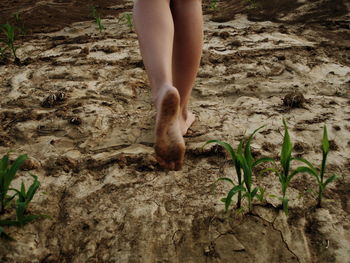 Low section of woman walking on dirt road
