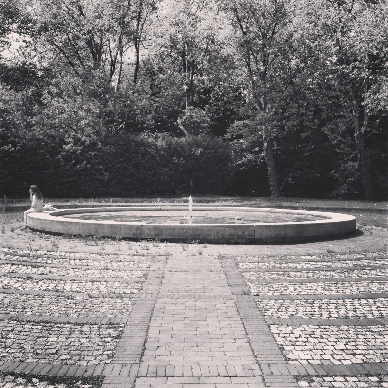 tree, transportation, cobblestone, park - man made space, day, empty, bench, outdoors, footpath, paving stone, absence, nature, water, no people, bird, the way forward, sunlight, tranquility, mode of transport, growth