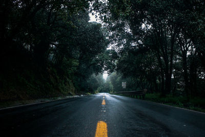 Road amidst trees