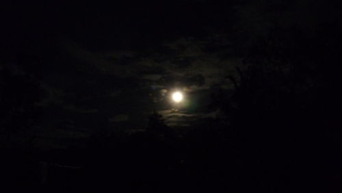 Low angle view of moon in sky
