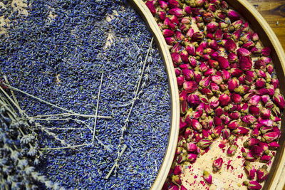 High angle view of flowering plants in market