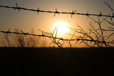 Close-up of silhouette barbed wire against sky during sunset