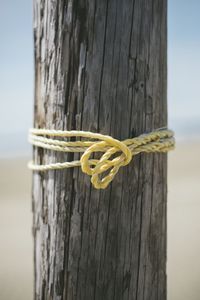 Close-up of rope tied on wooden post