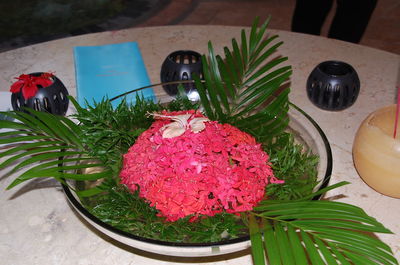 Close-up of potted plant