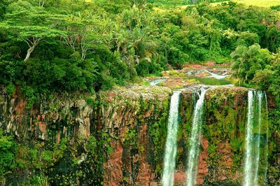 Scenic view of waterfall in forest
