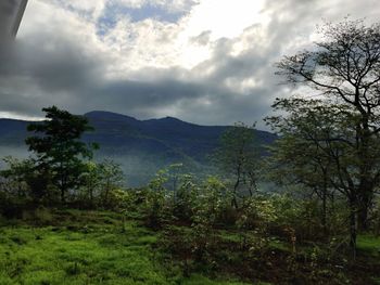 Scenic view of trees and mountains against sky