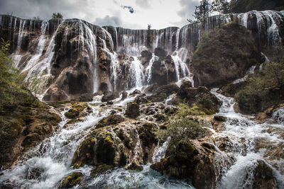 Scenic view of waterfall in forest