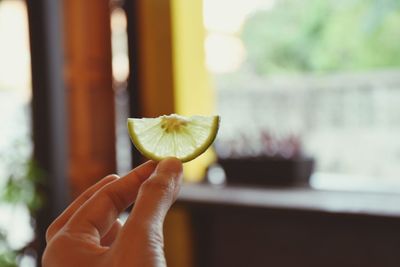 Close-up of hand holding fruit