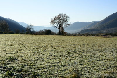 Scenic view of landscape against clear sky