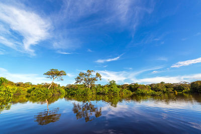 Trees reflecting on javary river in amazon rainforest against sky