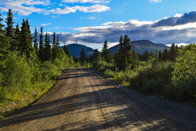 Road amidst trees against sky