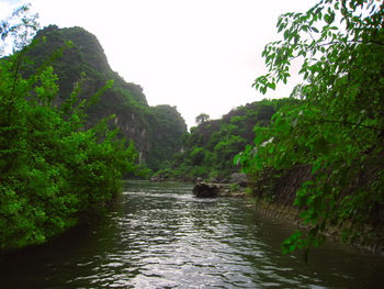 Scenic view of river in forest against clear sky