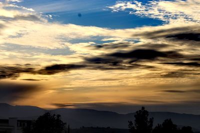 Low angle view of silhouette trees against sky during sunset