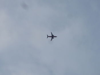 Low angle view of airplane flying in sky