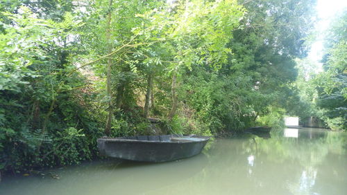 Boats in river with trees in background