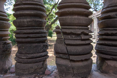 Close-up of stack of trees