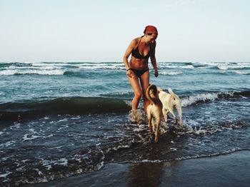 Young woman playing with dogs on shore at beach