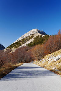 Road amidst trees against clear blue sky