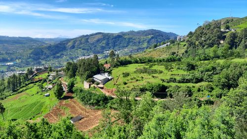 Beautiful view of hill mountain green forest with blue sky mist rain clouds background