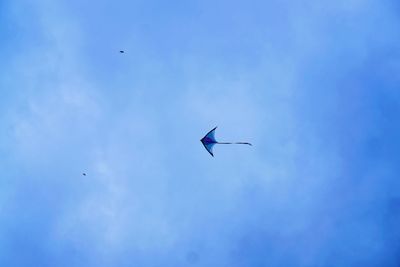 Low angle view of birds flying in sky