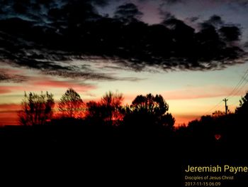 Silhouette trees against sky at sunset