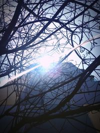 Low angle view of silhouette bare trees against sky